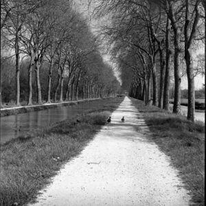 Landscape, French Country Side